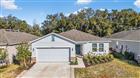 A4681025 - 33692 SKY BLOSSOM CIR, LEESBURG, FL 34788