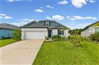 8093 TEA OLIVE TER, PALMETTO, FL - MLS# A4692912