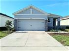 8072 PENROSE PL, WILDWOOD, FL - MLS# A4693090
