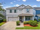 7105 PARK TREE DR, TAMPA, FL - MLS# A4693641