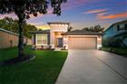 17463 NEW CROSS CIR, LITHIA, FL - MLS# A4695815