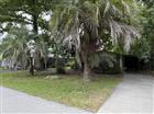 2418 DORA PINES RD, MOUNT DORA, FL - MLS# A4696744