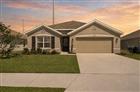 12273 MOUNTAIN ISLAND TRL, PARRISH, FL - MLS# A4697999