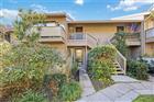 A4698730 - 1626 BROOKHOUSE DR #235, SARASOTA, FL 34231