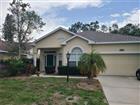 6234 BLACKBERRY LN, LAKEWOOD RANCH, FL - MLS# A4700182