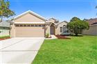 C7526510 - 23211 BAYOU GROVE ST, LAND O LAKES, FL 34639
