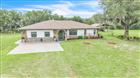 4806 SW COUNTY ROAD 769, ARCADIA, FL - MLS# C7526799