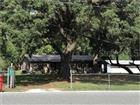 G5094559 - 136 S COMMERCIAL ST, COLEMAN, FL 33521