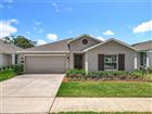 6946 PERCH HAMMOCK LOOP, GROVELAND, FL - MLS# G5098209