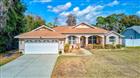 12733 PINE ISLAND DR, LEESBURG, FL - MLS# G5108679