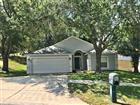 989 SCENIC VIEW CIR, MINNEOLA, FL - MLS# G5111910