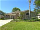 G5112125 - 3445 CAPLAND AVE, CLERMONT, FL 34711