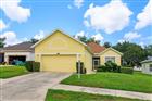 G5112456 - 25206 ORMOND CT, LEESBURG, FL 34748