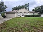 1017 WHITE BARK CT, MINNEOLA, FL - MLS# G5113085
