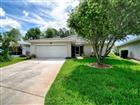 419 RANCHWOOD DR, LEESBURG, FL - MLS# G5113354