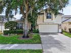 8051 SAINT JAMES WAY, MOUNT DORA, FL - MLS# G5113360