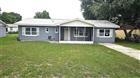 314 WOODLAND DR, EUSTIS, FL - MLS# G5113506
