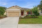 20945 OLDENBURG LOOP, MOUNT DORA, FL - MLS# G5113644