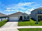 11244 AMBER RIDGE DR, ZELLWOOD, FL - MLS# G5113795