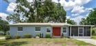 709 CINDY AVE, FRUITLAND PARK, FL - MLS# G5113956