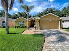 G5114533 - 830 OLD OAKS LN, LEESBURG, FL 34748