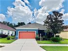 3447 MOUNT HOPE LOOP, LEESBURG, FL - MLS# G5114786
