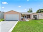 1304 GUADALUPE CT, THE VILLAGES, FL - MLS# G5115311