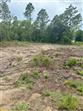 TBD NE 151ST TER, WILLISTON, FL - MLS# GC532082