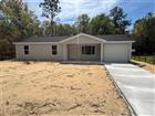 8 SEQUOIA DRIVE CRSE, OCKLAWAHA, FL - MLS# GC541847