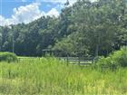 L4960181 - 10553 NE 36TH AVE, ANTHONY, FL 32617