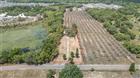 1920 E PALM ST, DAVENPORT, FL - MLS# L4961547