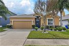 12113 ECHO BASIN CV, RIVERVIEW, FL - MLS# L4963289