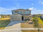 NS1087308 - 5256 RED CORAL CIR, MOUNT DORA, FL 32757