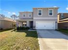 11327 AMBER RIDGE DR, ZELLWOOD, FL - MLS# O6382337