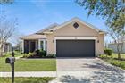 371 SALT MARSH LN, GROVELAND, FL - MLS# O6389294