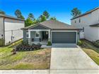 2174 GOLD DUST DR, MINNEOLA, FL - MLS# O6389348