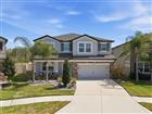 16146 MONTEREY GREENS CIR, TAMPA, FL - MLS# O6389591