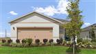 219 AMBERWOOD WAY, UMATILLA, FL - MLS# O6390472