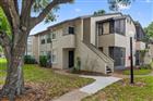 O6393639 - 2929 ANTIQUE OAKS CIR #53, WINTER PARK, FL 32792