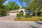 O6402573 - 4745 PATAGONIA PL, LAND O LAKES, FL 34638