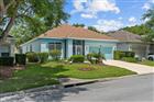 24357 AMBERLEAF CT, LEESBURG, FL - MLS# O6403041