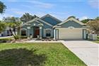 1253 BRANDY LAKE VIEW CIR, WINTER GARDEN, FL - MLS# O6404570
