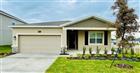 905 CITRUS RESERVE BLVD, DAVENPORT, FL - MLS# O6404581