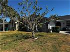 O6407850 - 158 SUNSHINE DR, PALM HARBOR, FL 34684