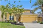 4460 NIRVANA PKWY, KISSIMMEE, FL - MLS# O6409118