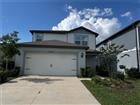 O6409742 - 20665 DRAKE ELM DR, LAND O LAKES, FL 34638