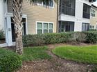 2420 ANN ROU RD #201, TAVARES, FL - MLS# O6409851