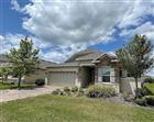 8021 OLIVE BROOK DR, WESLEY CHAPEL, FL - MLS# O6410642