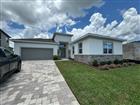 10609 TORCHWOOD SEA WAY, SAN ANTONIO, FL - MLS# O6411143