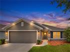 O6412607 - 1113 CITRUS LANDINGS BLVD, DAVENPORT, FL 33837